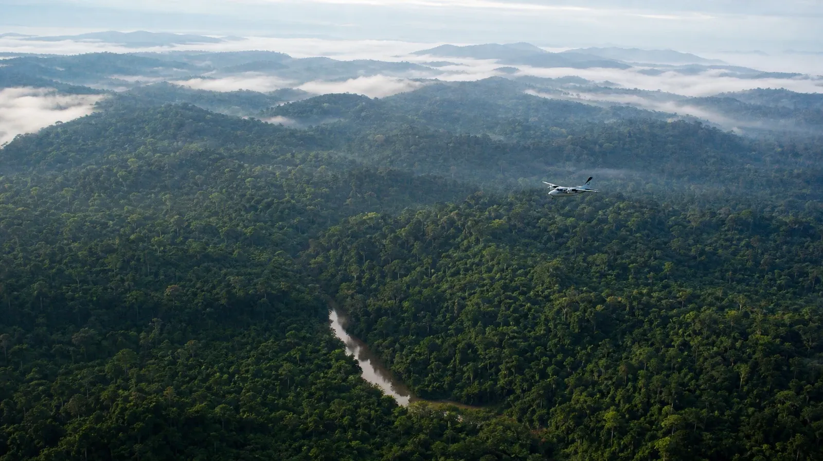 Aerial view of the Peruvian Amazon canopy with low mist between the hills